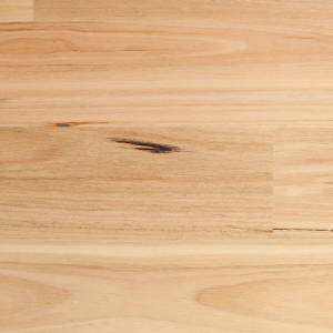 Blackbutt / Matte Brushed