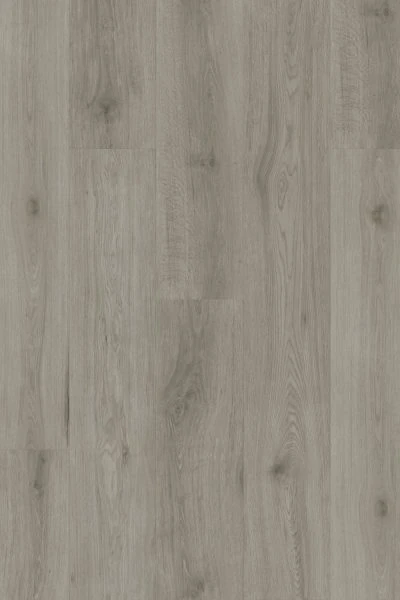 Arctic Grey Hybrid 地板 地板