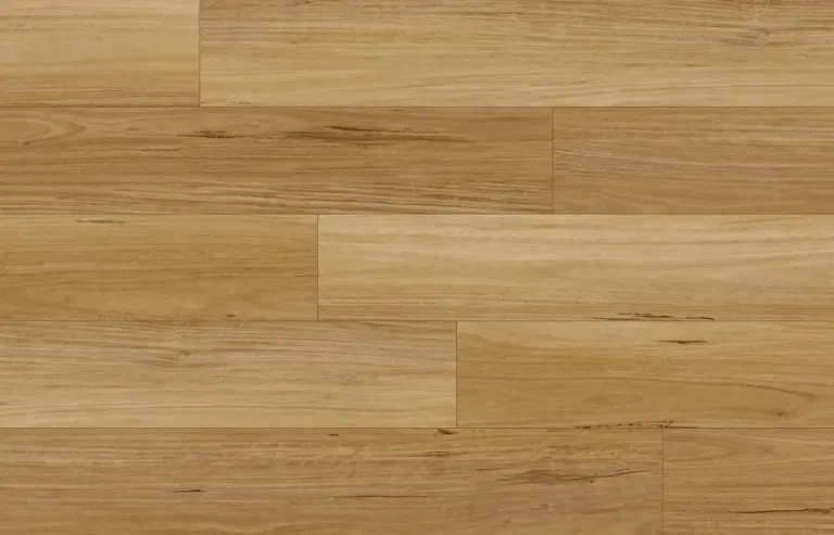 Australian Blackbutt 地板