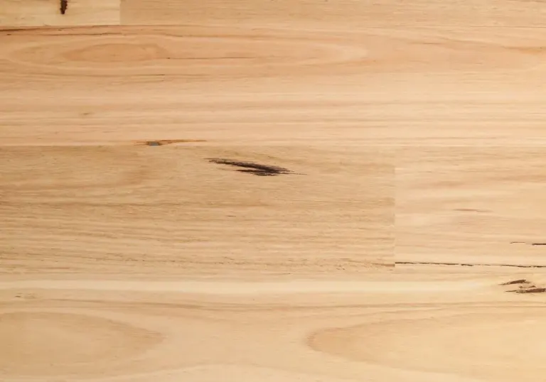 Blackbutt / 哑光拉丝 地板