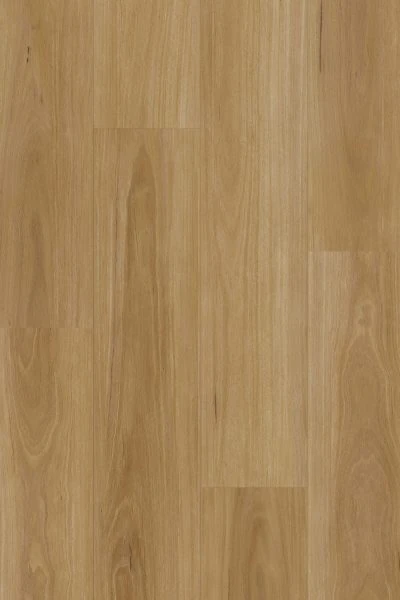 Classic Blackbutt Hybrid 混合地板 地板
