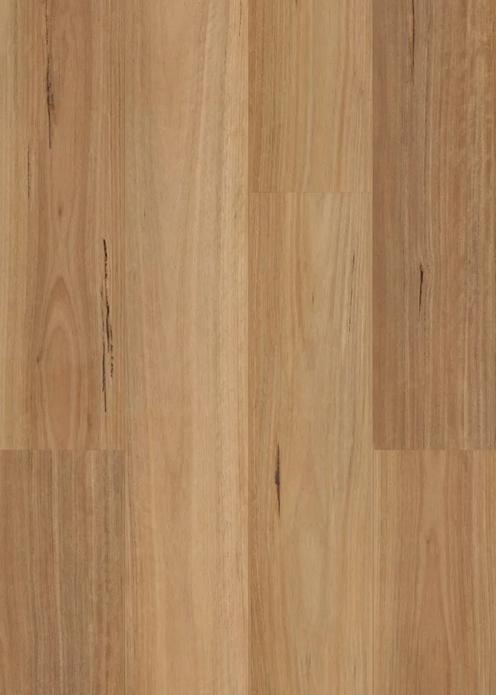 Native Blackbutt Hybrid 混合地板 地板