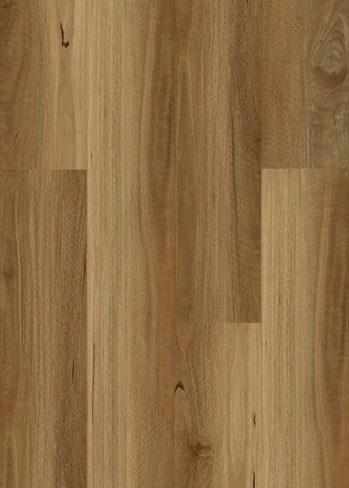 NSW Spotted Gum 9 mm Hybrid 地板