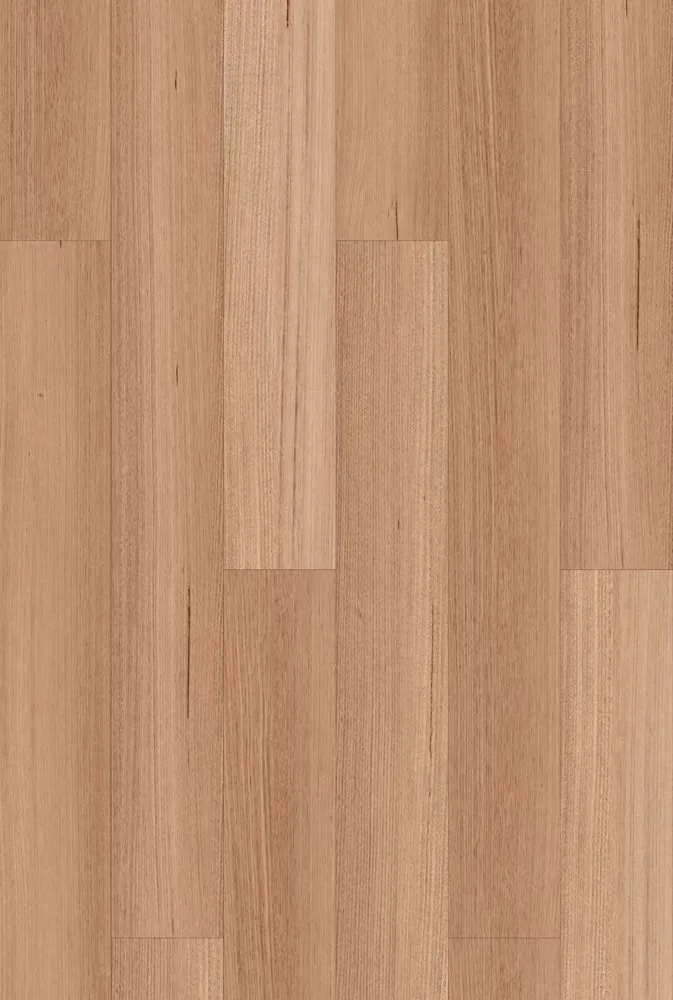 Tasmanian Oak Hybrid 混合地板 地板